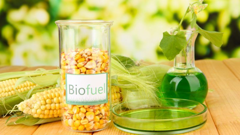 gambar biofuel