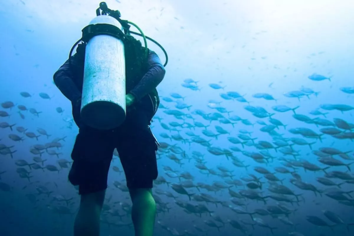 gambar tabung oksigen untuk membantu pernafasan dalam laut