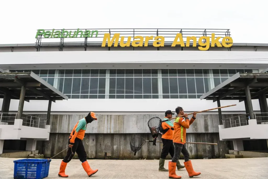 Pelabuhan Muara Angke Kaliadem 