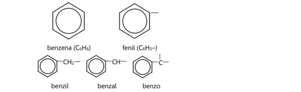 struktur kimia dari benzena cincin