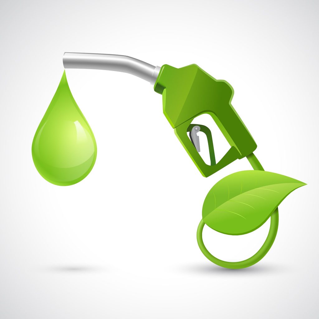 ESG biodiesel